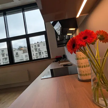 Loft Cibulka Appartement *