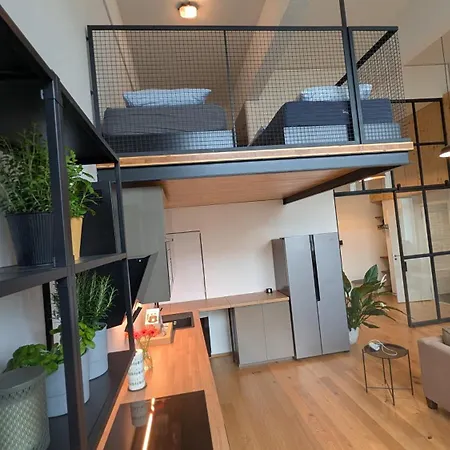 Appartement Loft Cibulka *